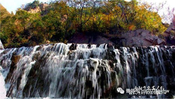 春雨直播app