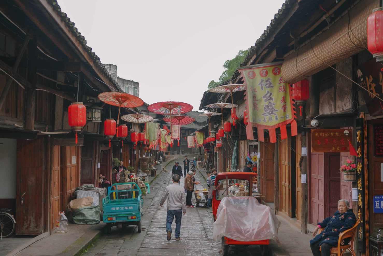 我市2023年12月 鲜菜价格环比上涨
